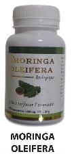 moringa oleifera