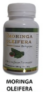 moringa oleifera